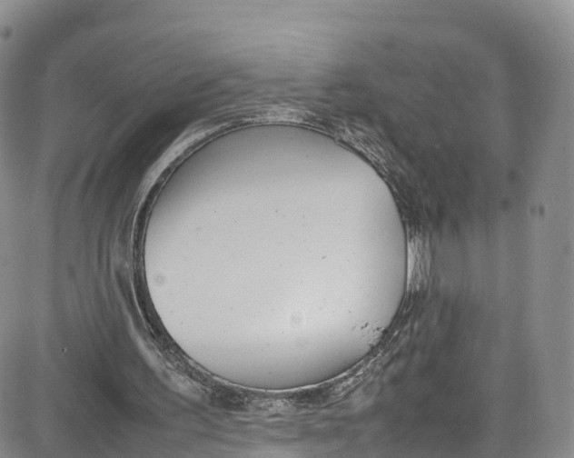 X0000080780195200701021156