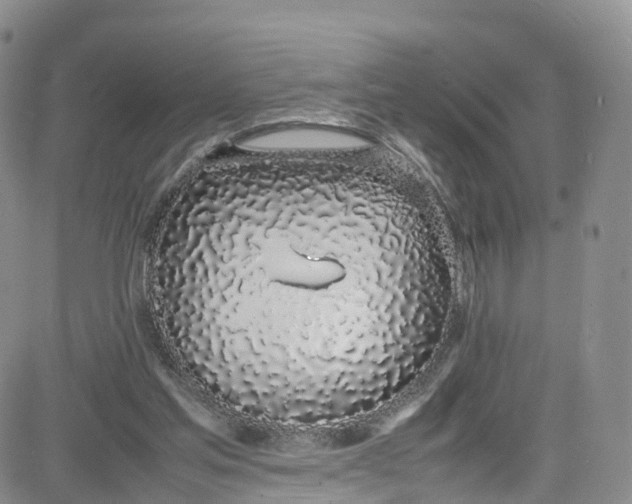 X0000080780205200701021155