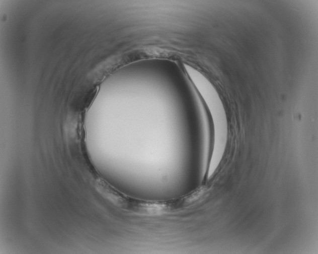 X0000080780233200701021155
