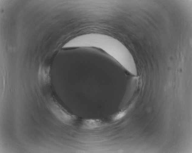 X0000080780239200701021155