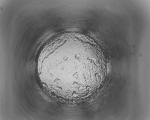 X0000080780243200701021154