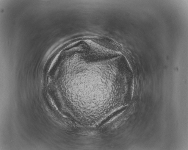 X0000080780247200701021154