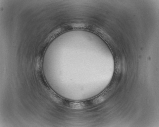 X0000080780277200701021155