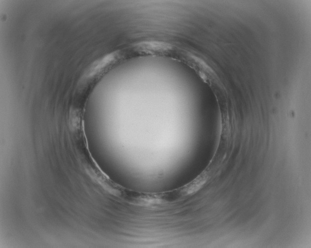 X0000080780284200701021155