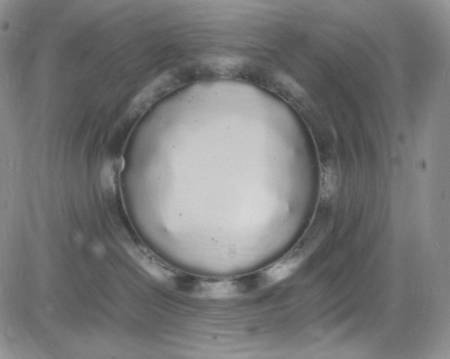 X0000080780286200701021155