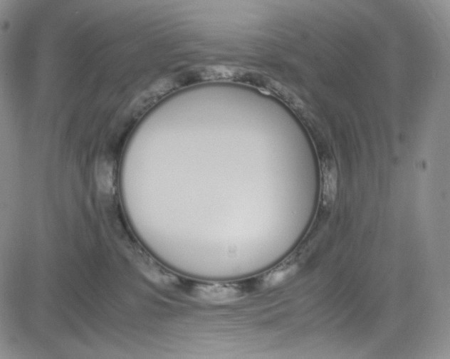 X0000080780331200701021153