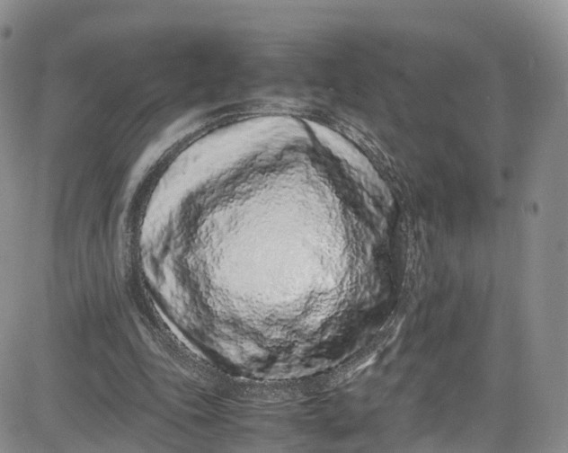X0000080780343200701021153