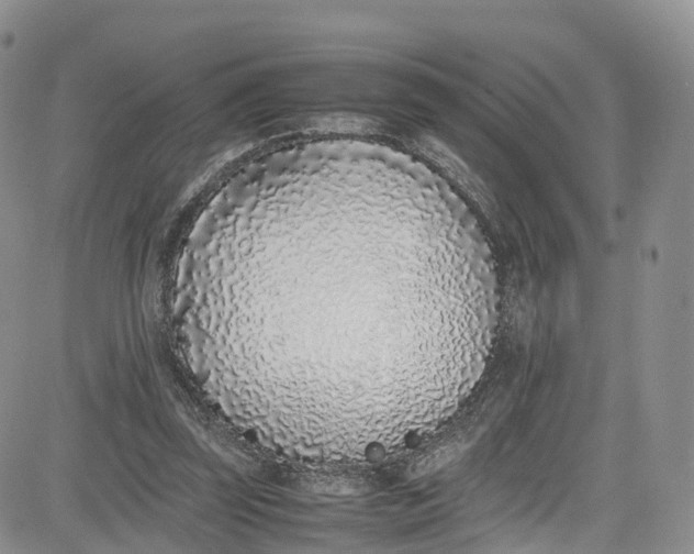 X0000080780347200701021153
