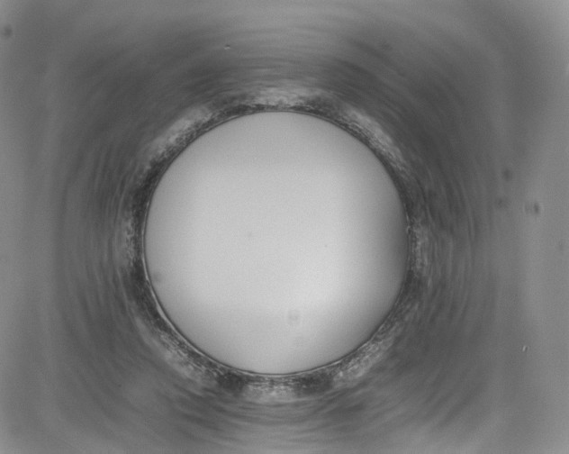 X0000080780354200701021153