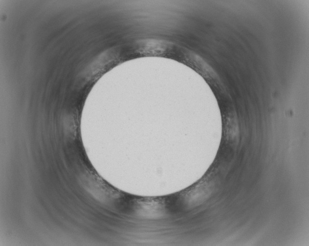 X0000080780370200701021153
