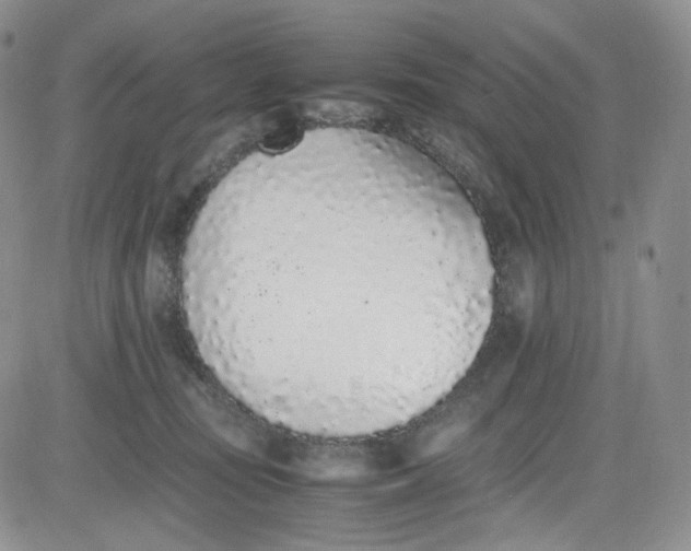 X0000080780371200701021153