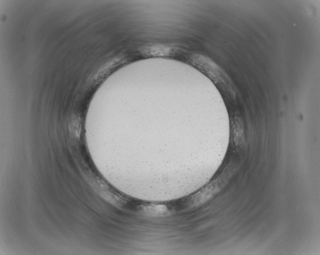 X0000080780374200701021153
