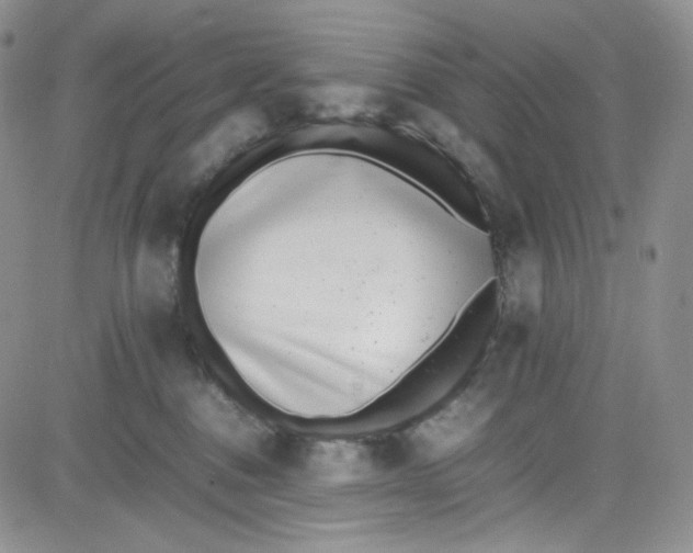 X0000080780376200701021153