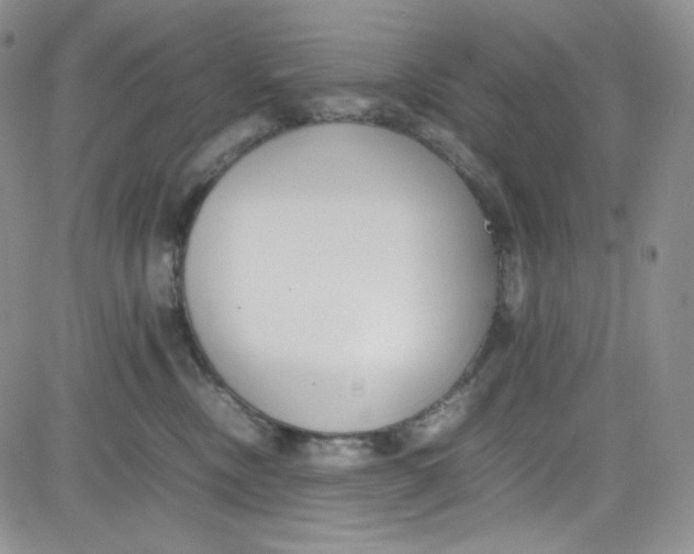 X0000080780378200701021153