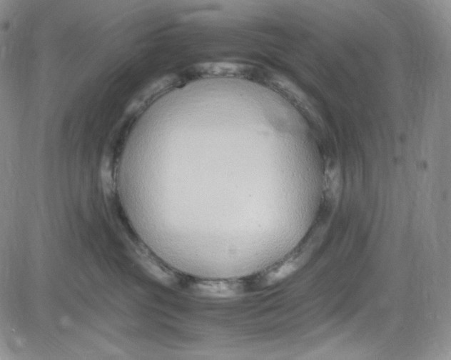 X0000080780381200701021153