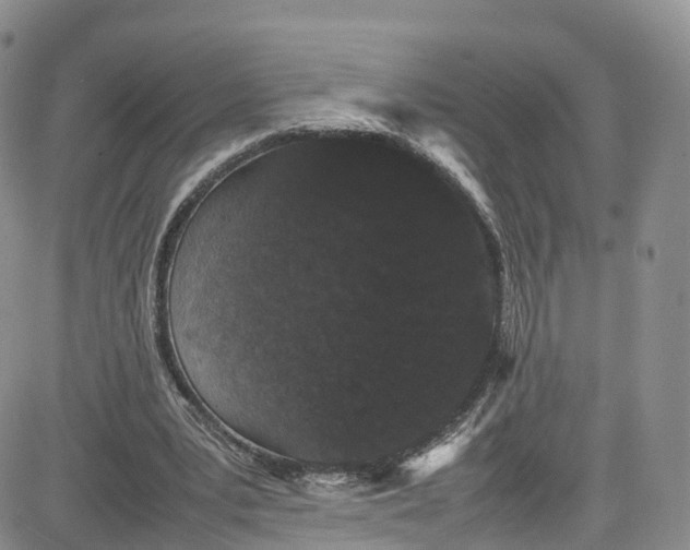 X0000080780391200701021152