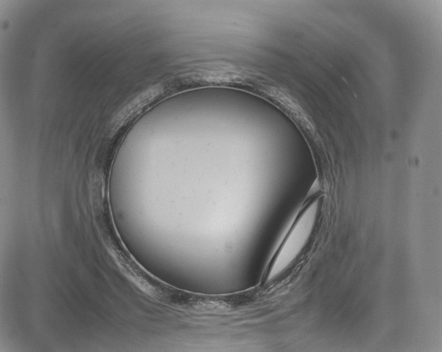 X0000080780397200701021152