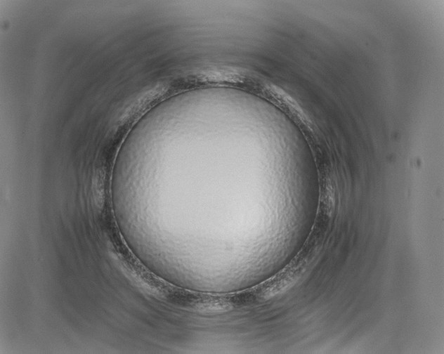 X0000080780402200701021152