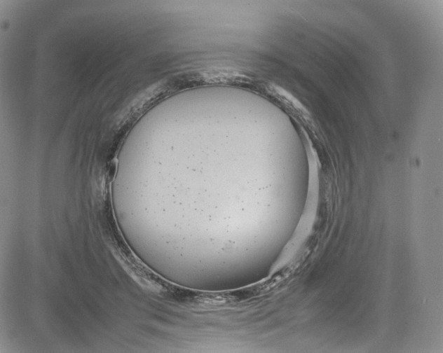 X0000080780405200701021152