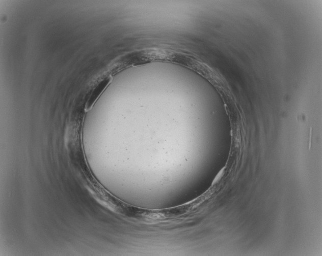 X0000080780409200701021152