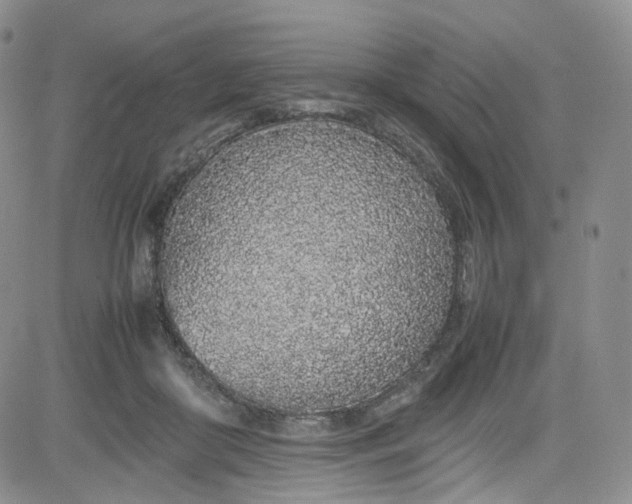 X0000080780410200701021152