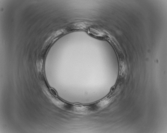 X0000080780423200701021152