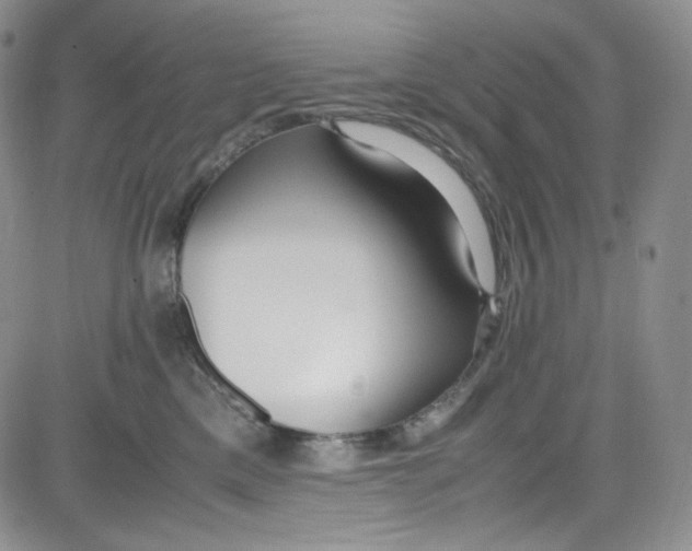 X0000080780425200701021152