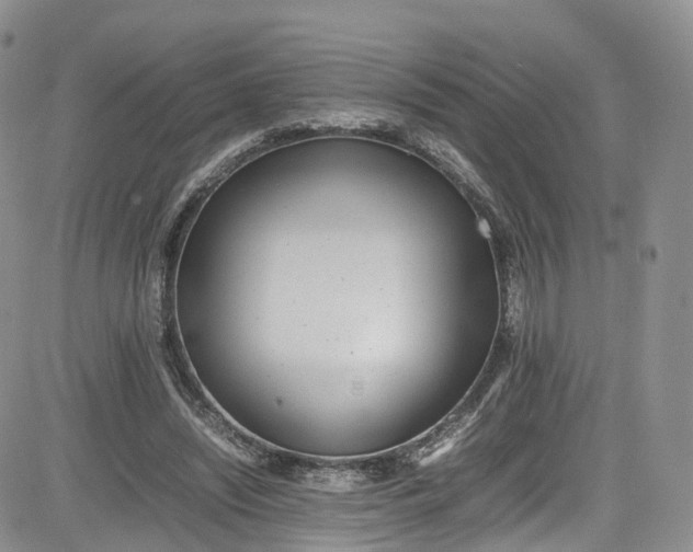 X0000080780444200701021151