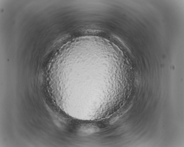 X0000080780451200701021151