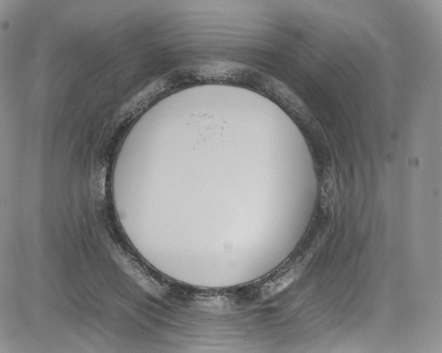 X0000080780454200701021151