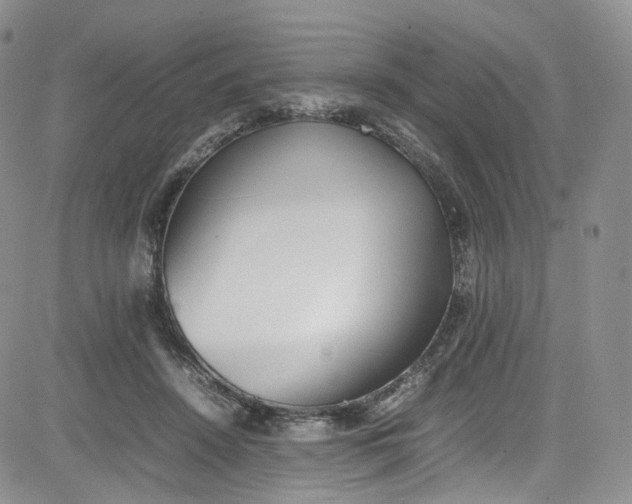 X0000080780456200701021151