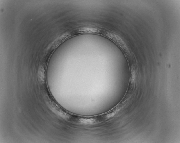 X0000080780457200701021151