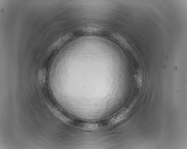 X0000080780458200701021151