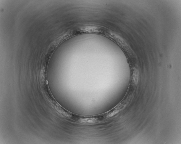 X0000080780461200701021151