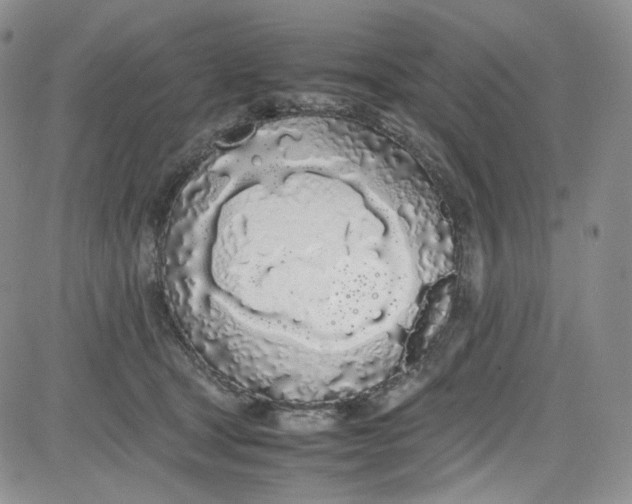 X0000080780465200701021151