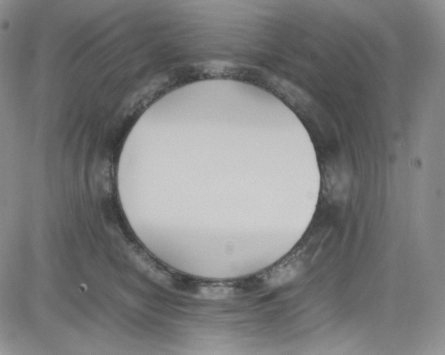 X0000080780470200701021152