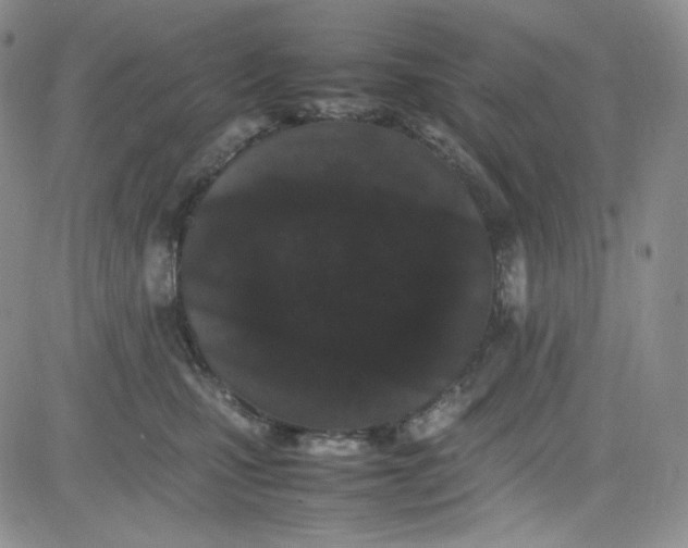 X0000080780471200701021152