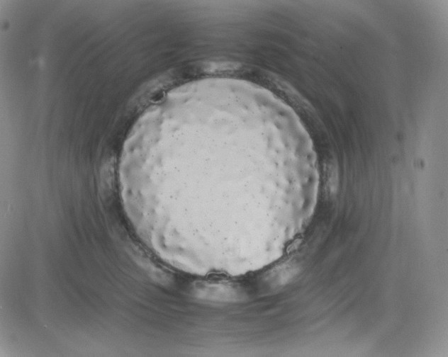 X0000080780475200701021152