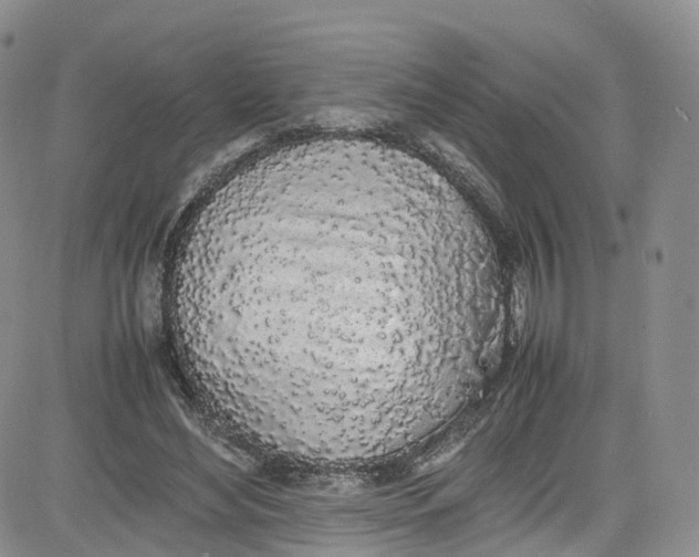 X0000080780492200701021151