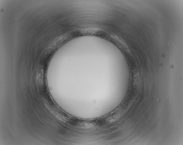 X0000080780498200701021151