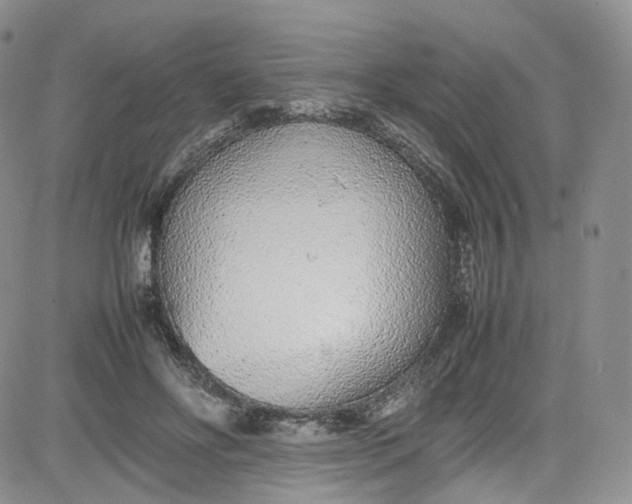 X0000080780502200701021151