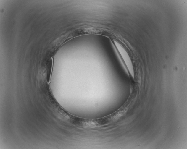 X0000080780513200701021150