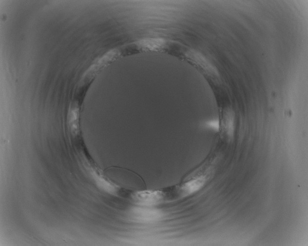 X0000080780526200701021150
