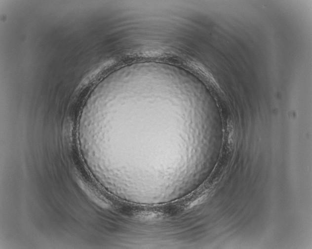 X0000080780542200701021150