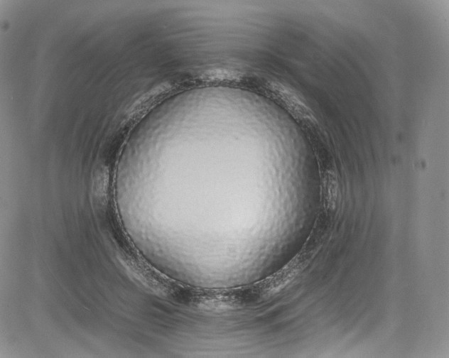 X0000080780550200701021150