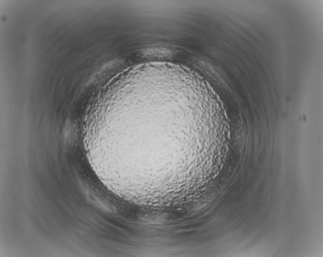 X0000080780551200701021150