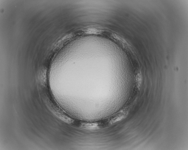 X0000080780554200701021150