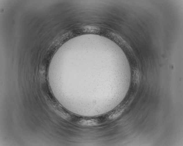 X0000080780557200701021150