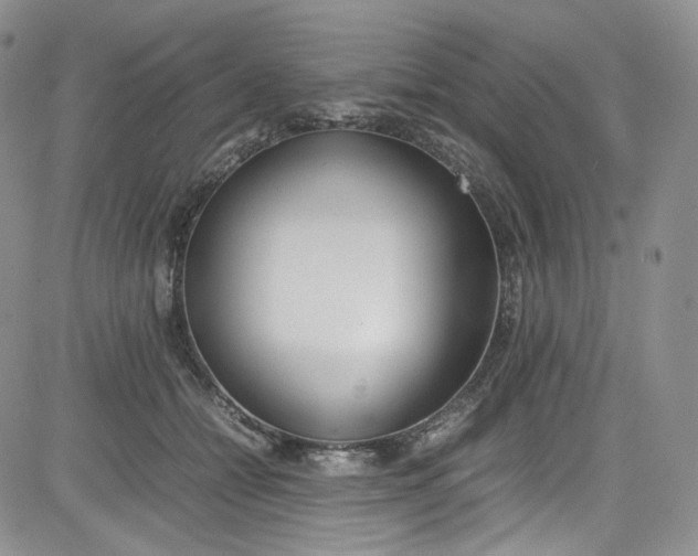 X0000080780558200701021150