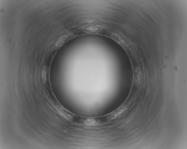 X0000080780562200701021150